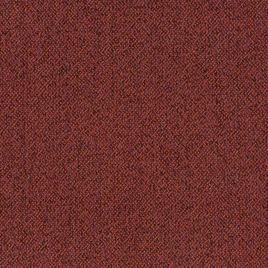 Chivasso Bonsai Reboot Colour 46