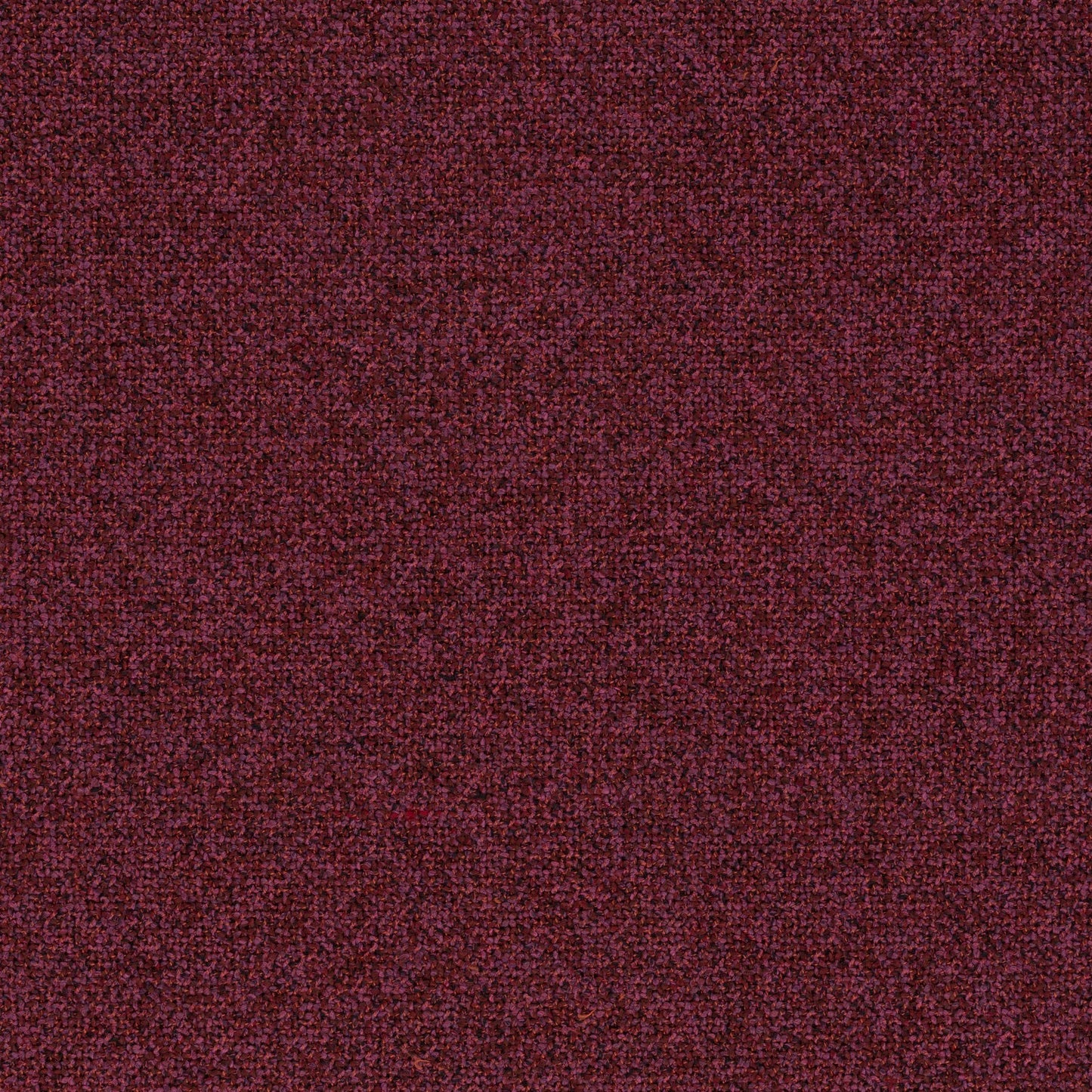 Chivasso Bonsai Reboot Colour 48