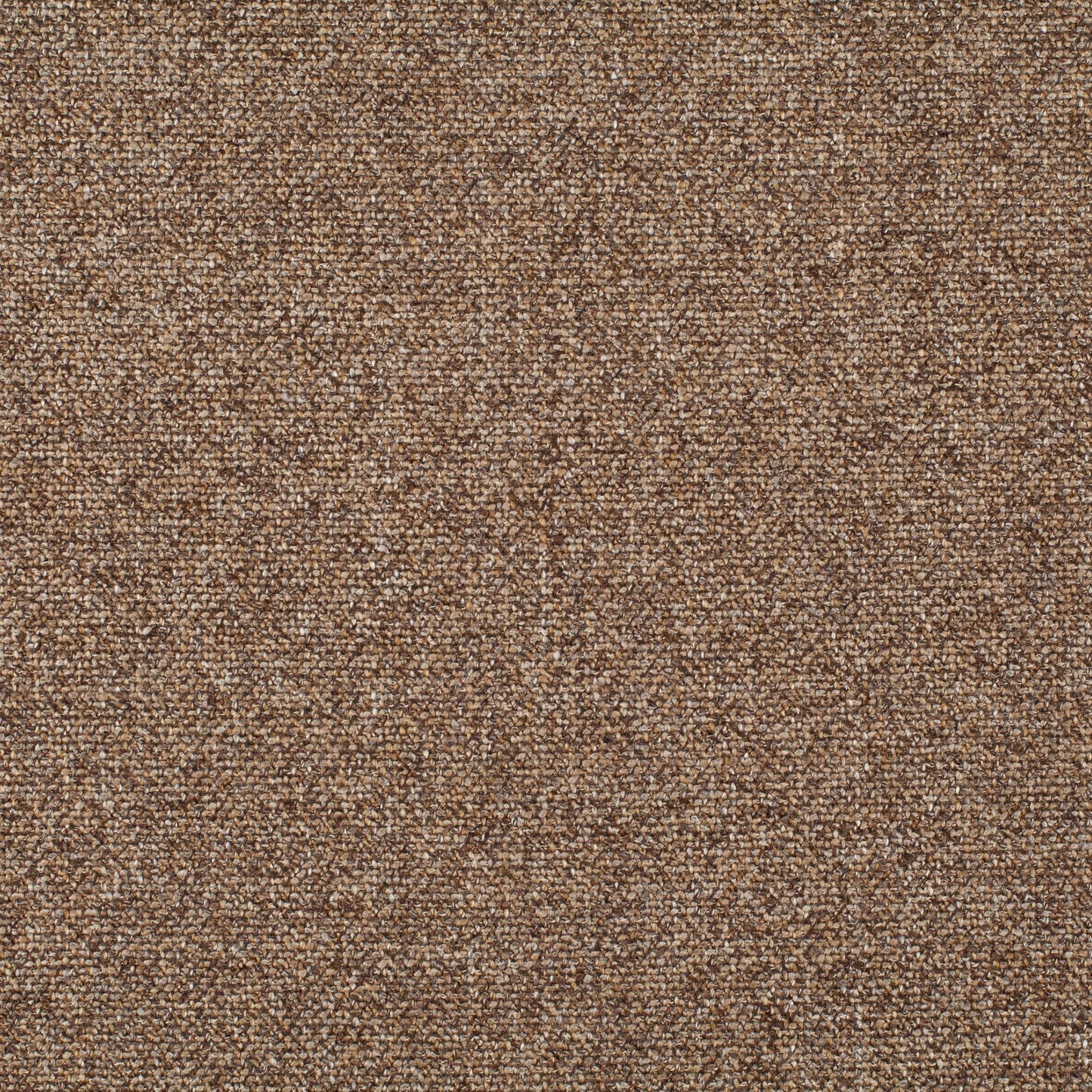 Chivasso Bonsai Reboot Colour 58