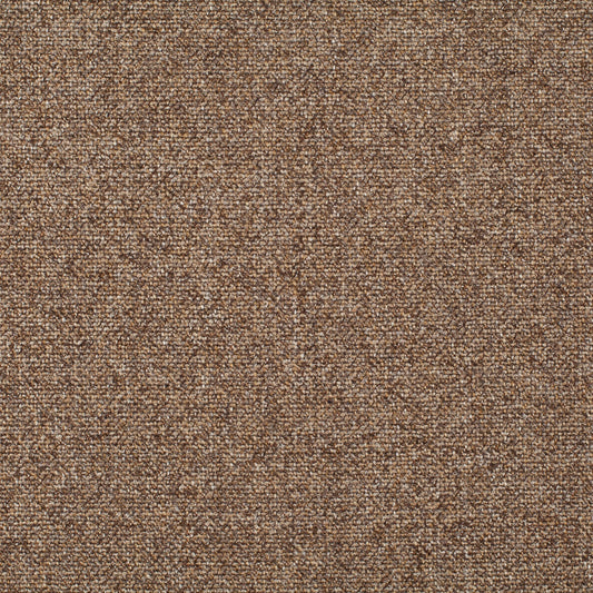 Chivasso Bonsai Reboot Colour 58