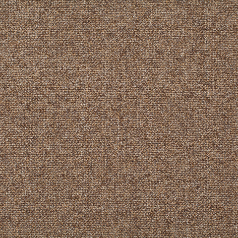 Chivasso Bonsai Reboot Colour 58