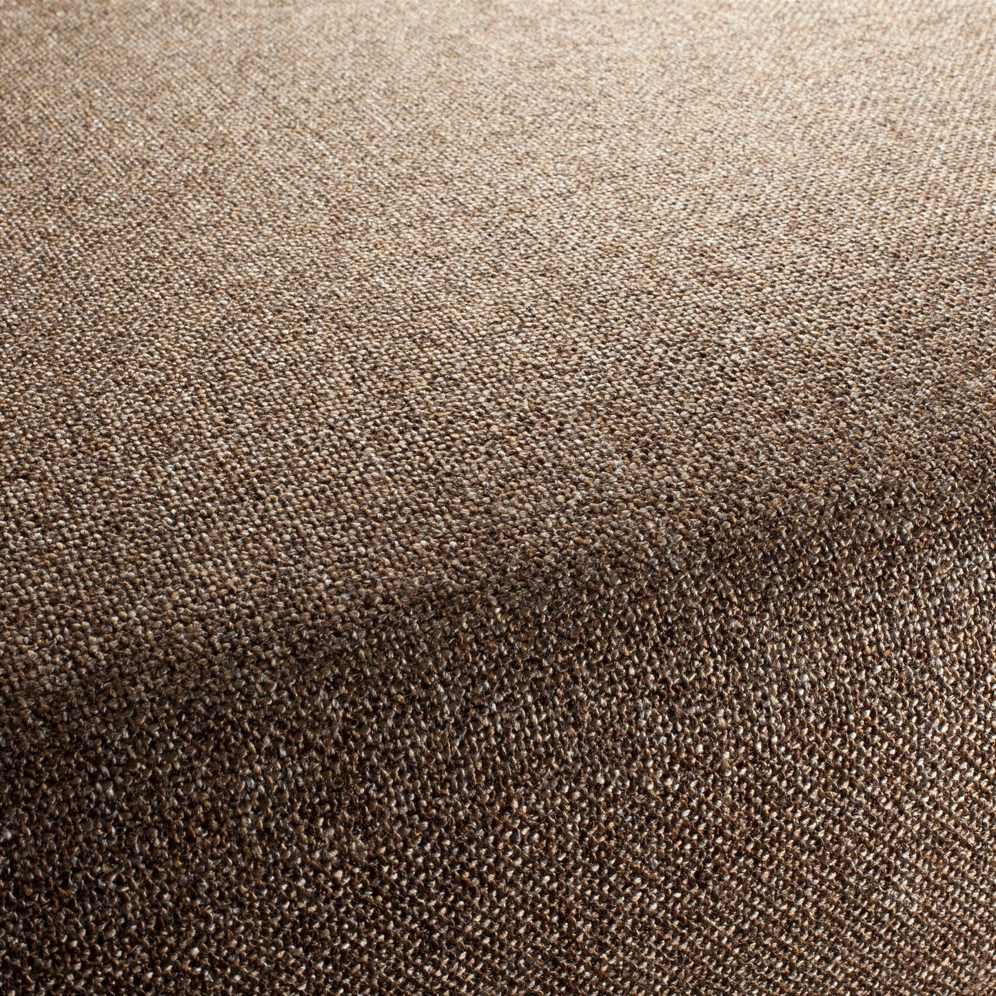 Chivasso Bonsai Reboot Colour 58