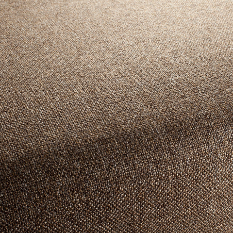 Chivasso Bonsai Reboot Colour 58