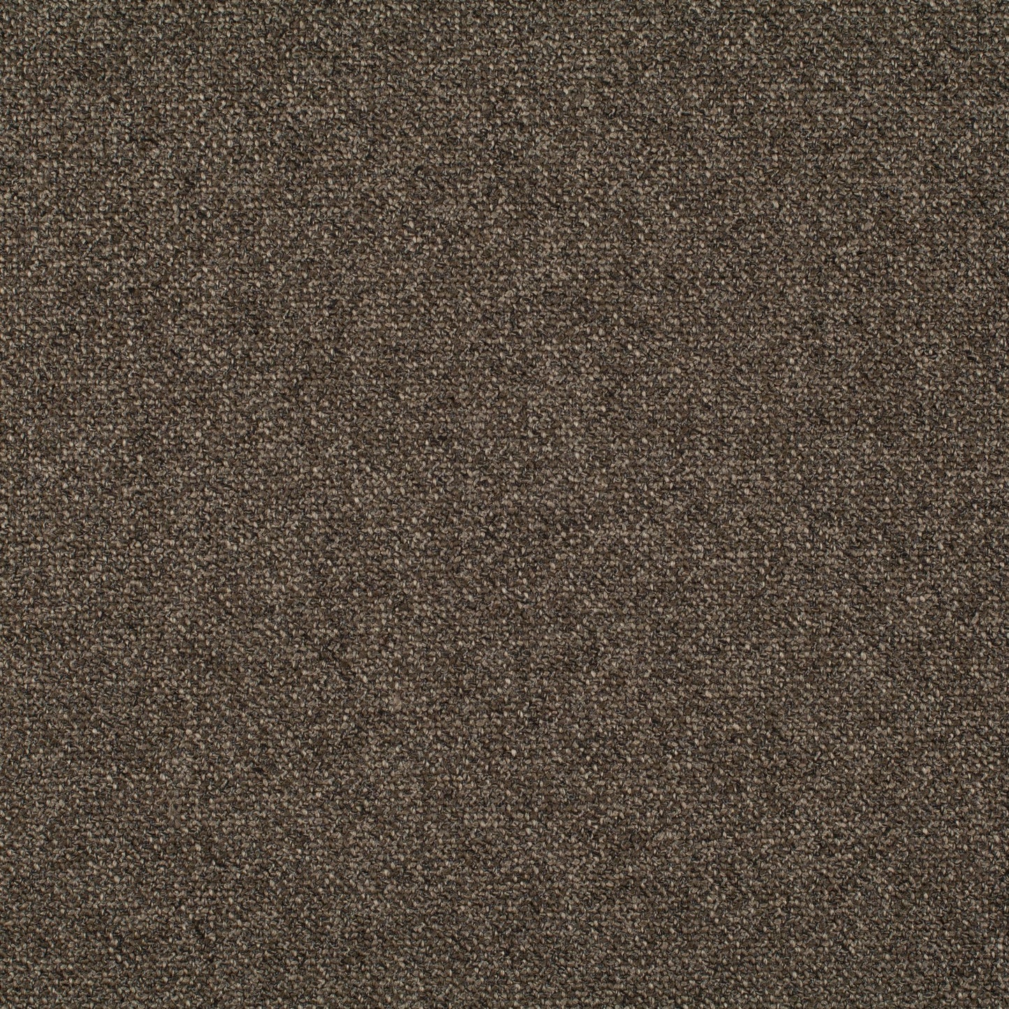 Chivasso Bonsai Reboot Colour 63