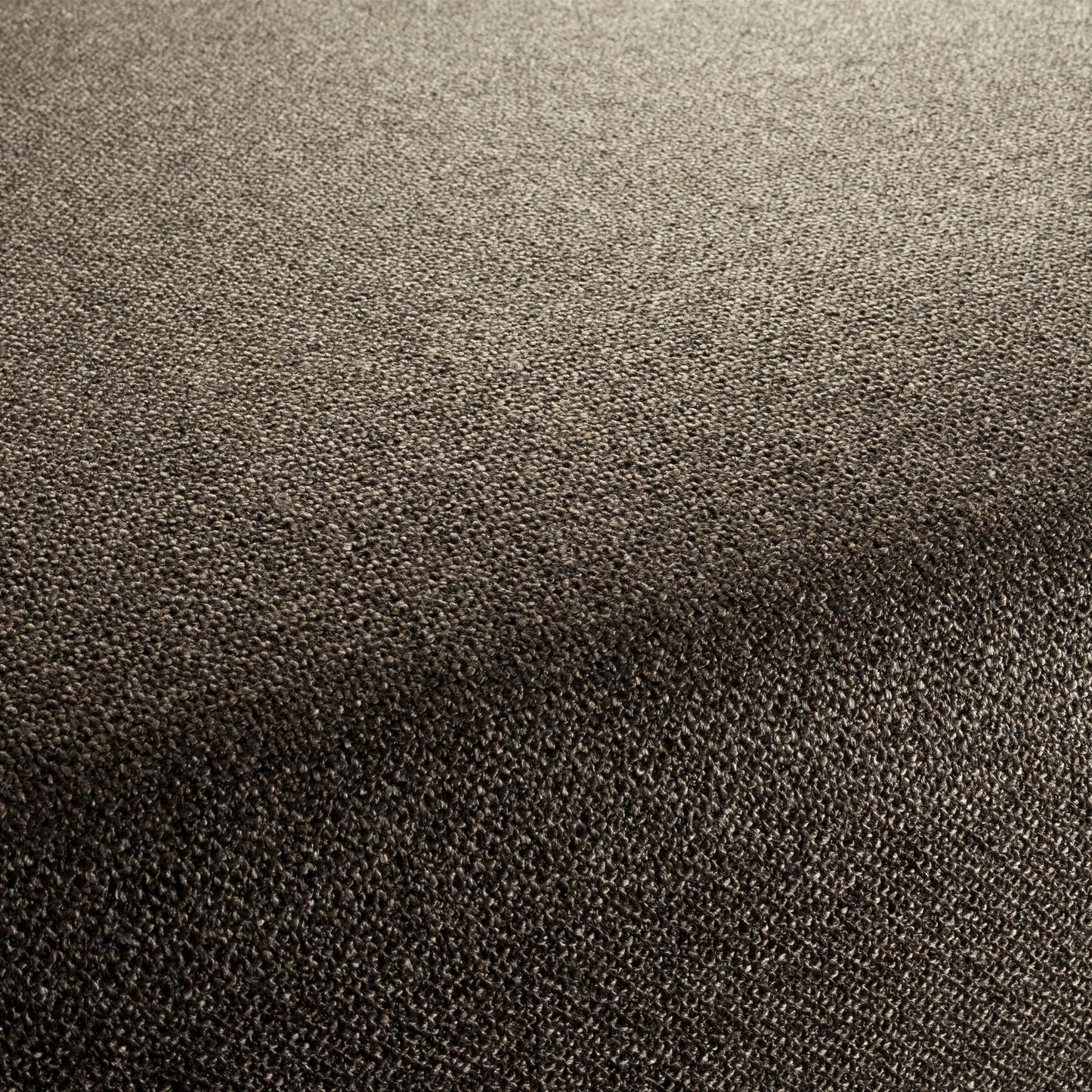 Chivasso Bonsai Reboot Colour 63