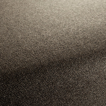 Chivasso Bonsai Reboot Colour 63