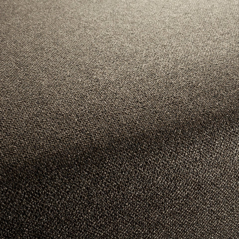 Chivasso Bonsai Reboot Colour 63