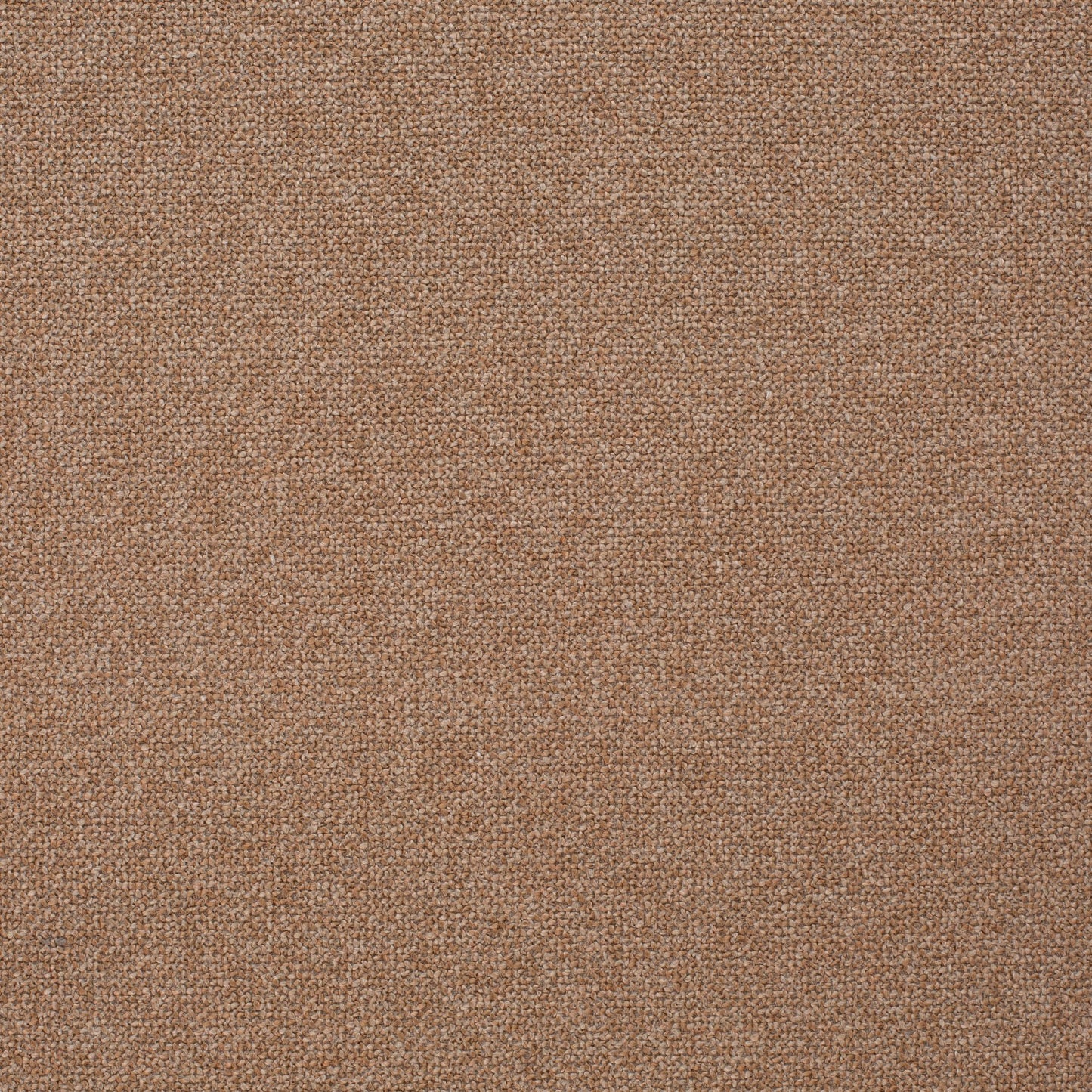 Chivasso Bonsai Reboot Colour 56