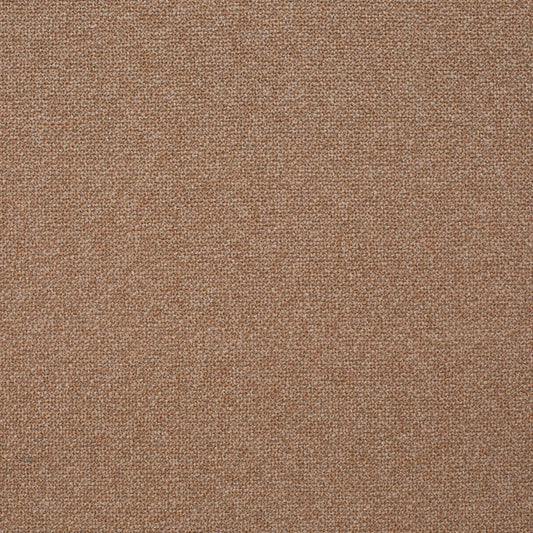 Chivasso Bonsai Reboot Colour 56