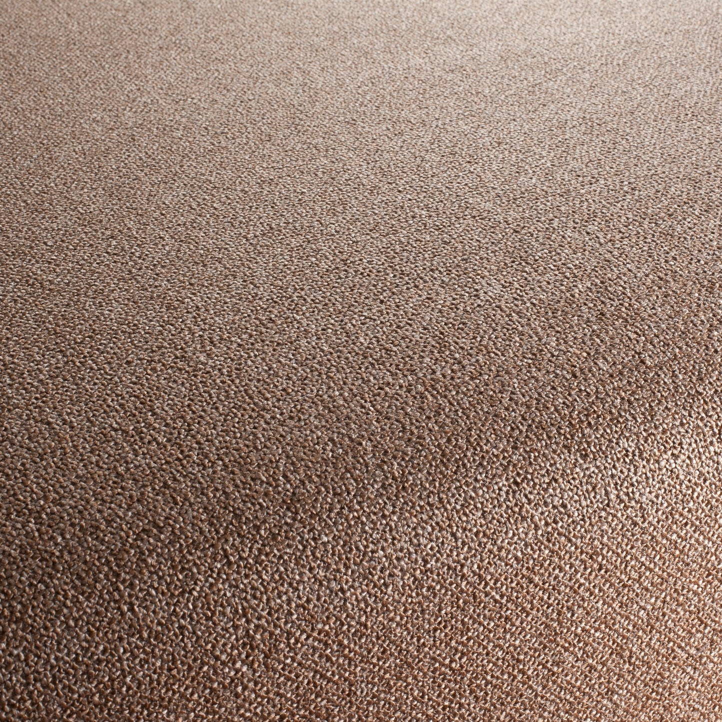 Chivasso Bonsai Reboot Colour 56