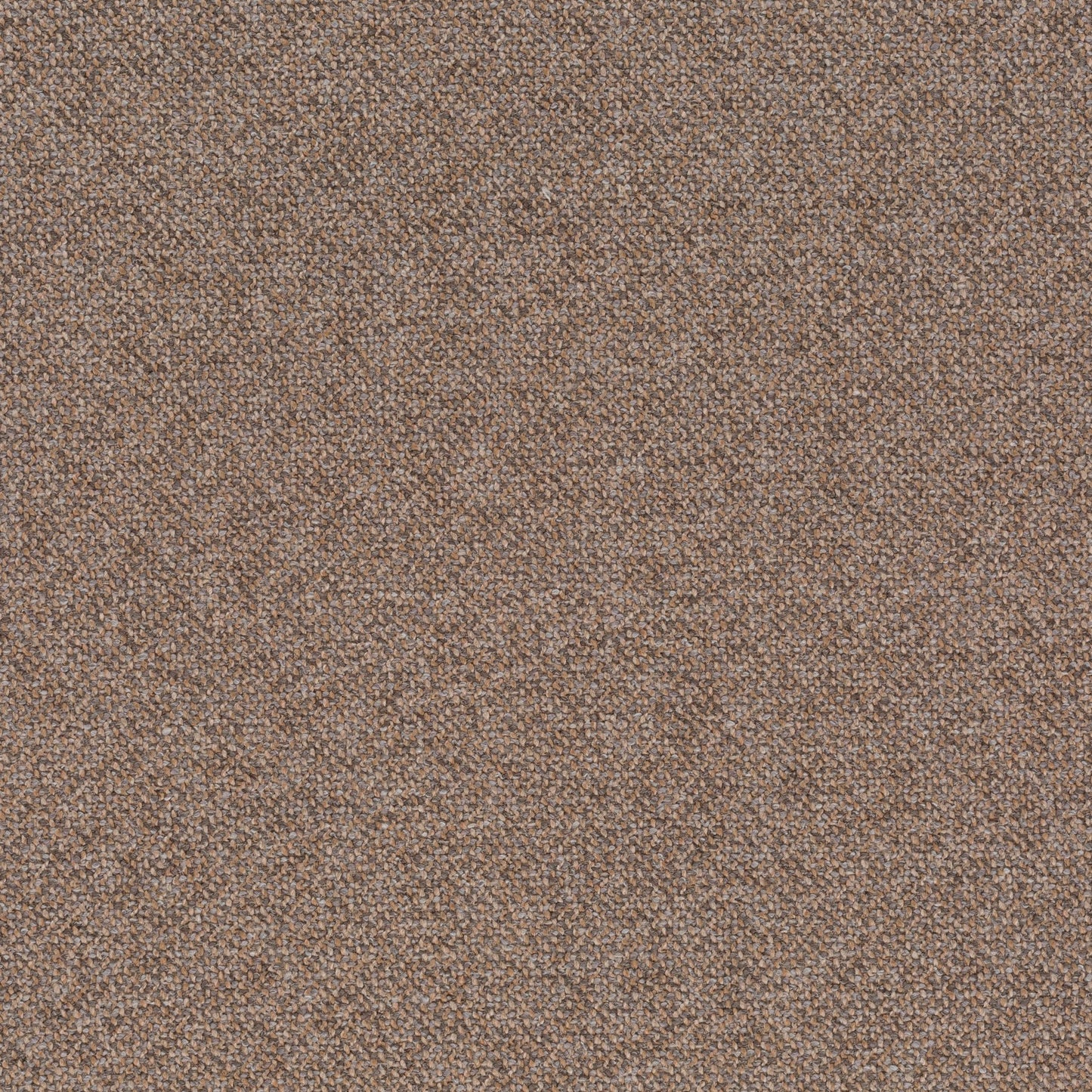 Chivasso Bonsai Reboot Colour 57