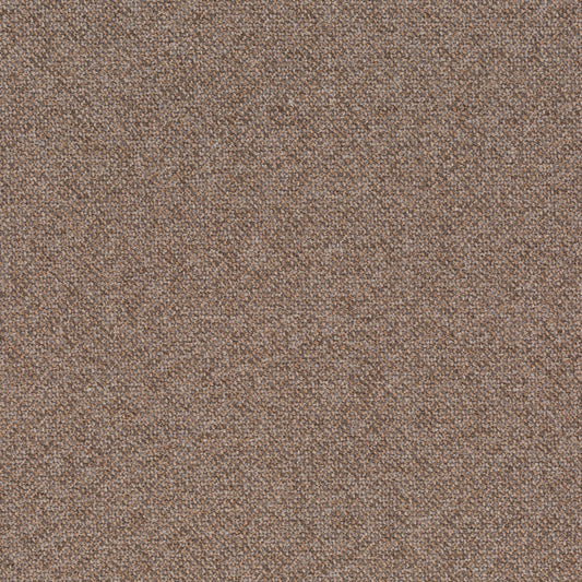 Chivasso Bonsai Reboot Colour 57