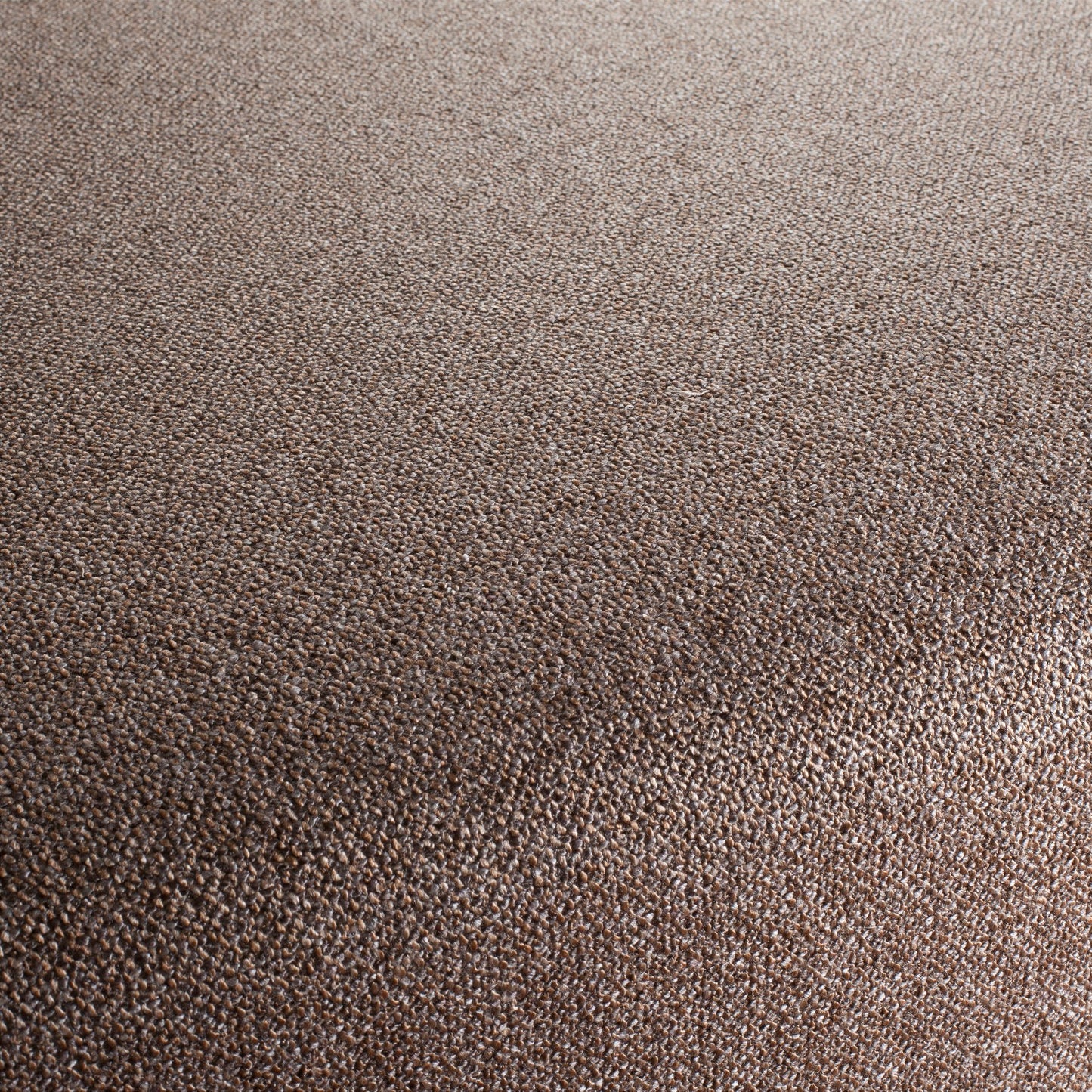 Chivasso Bonsai Reboot Colour 57