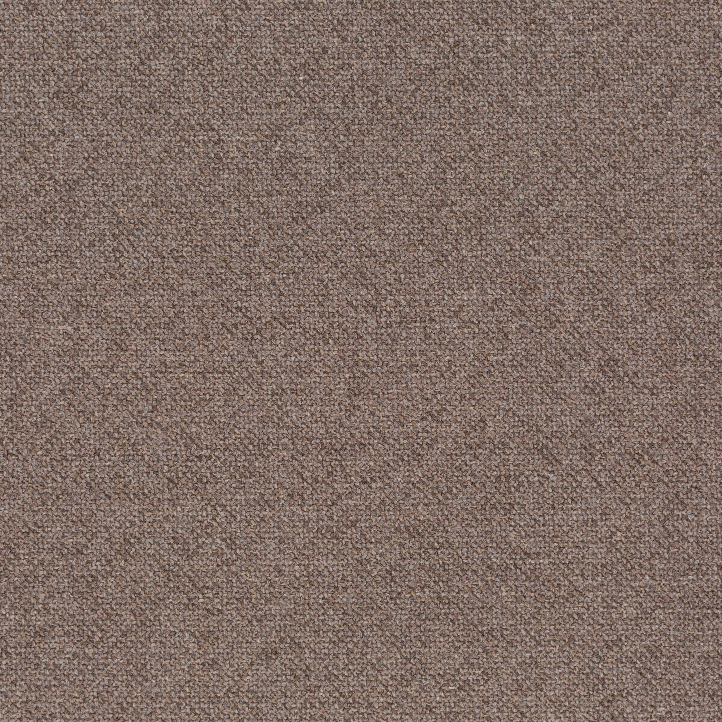 Chivasso Bonsai Reboot Colour 59