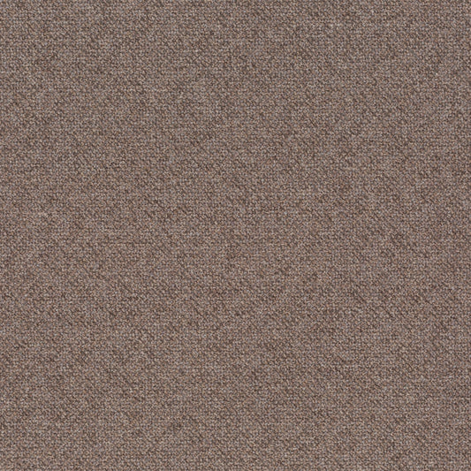 Chivasso Bonsai Reboot Colour 59