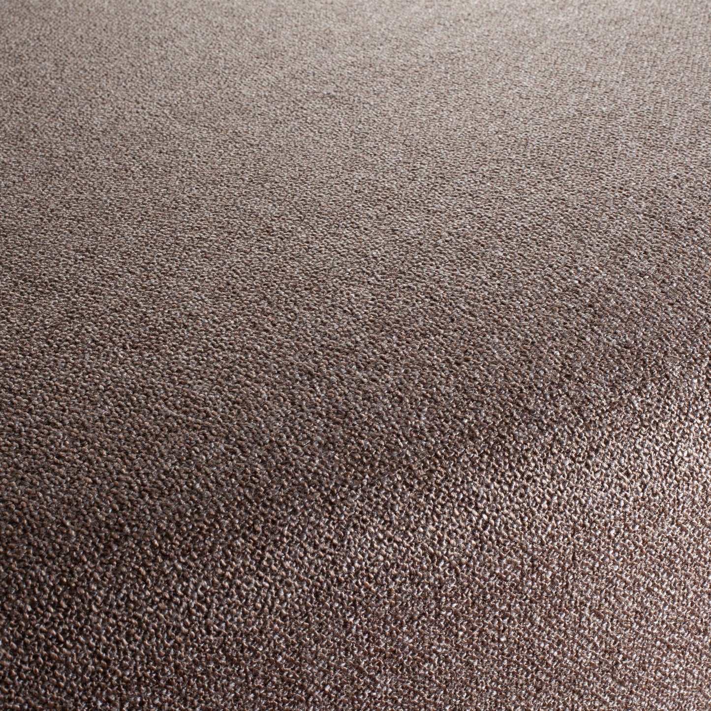 Chivasso Bonsai Reboot Colour 59