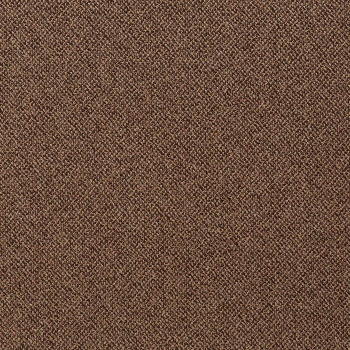 Chivasso Bonsai Reboot Colour 61