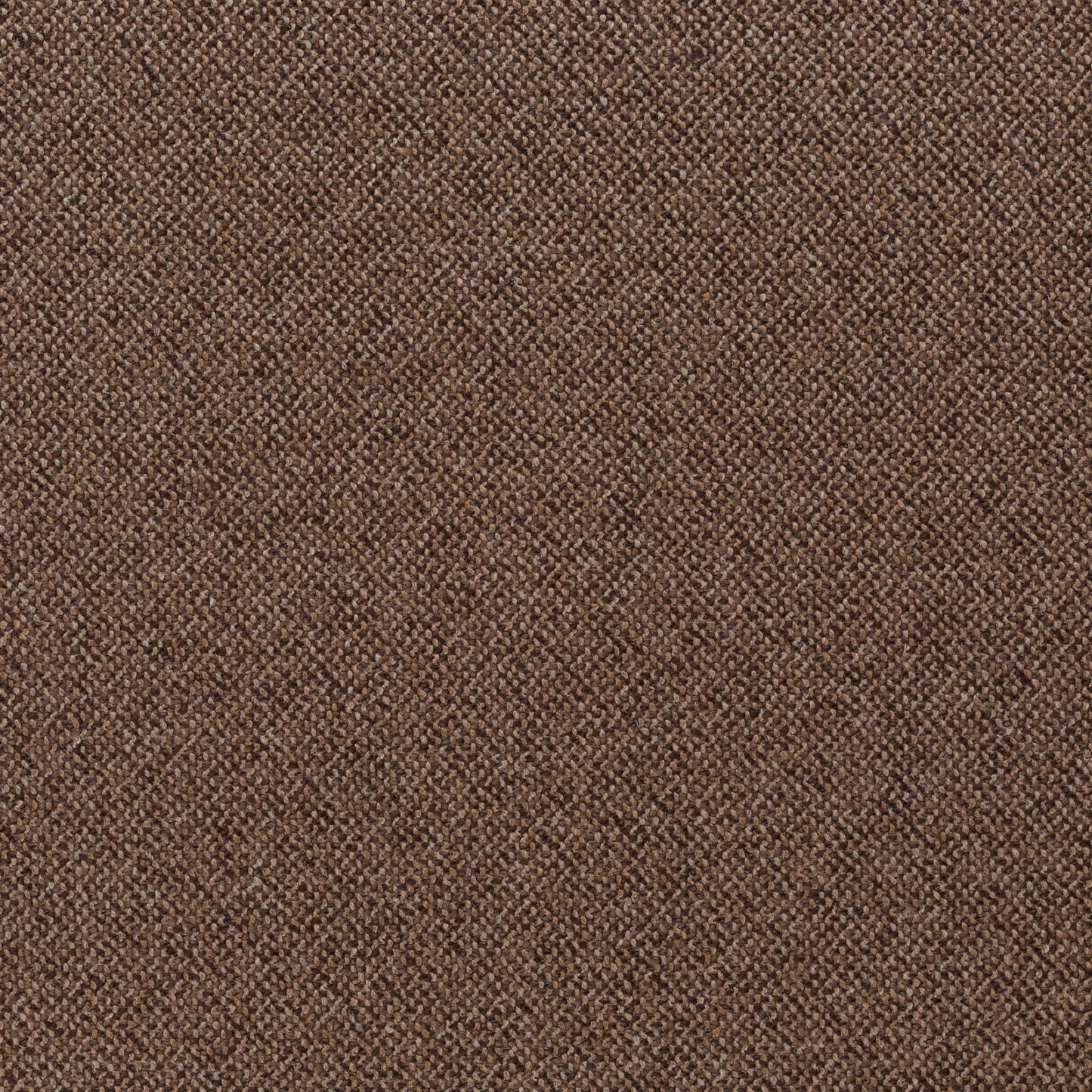 Chivasso Bonsai Reboot Colour 62