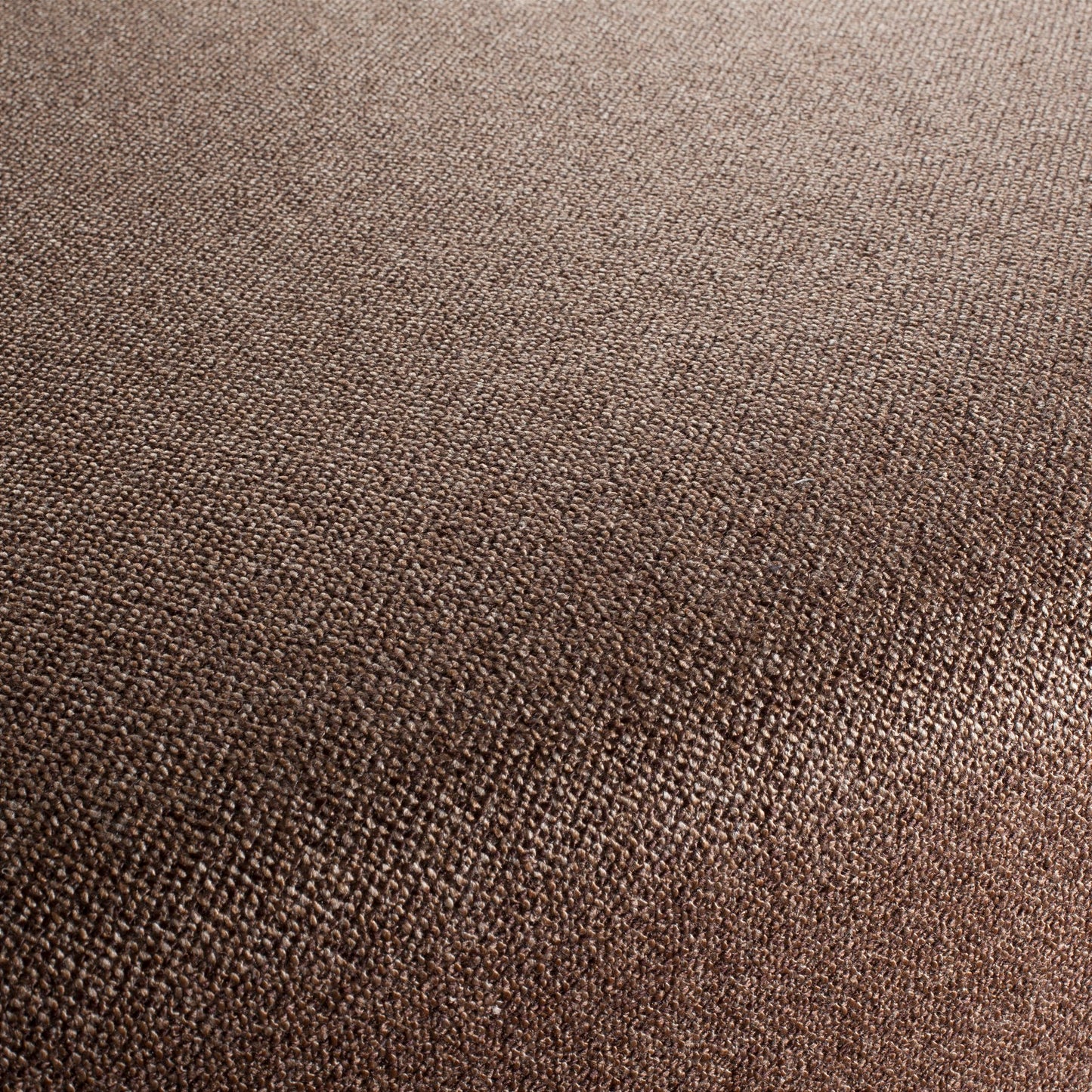 Chivasso Bonsai Reboot Colour 62