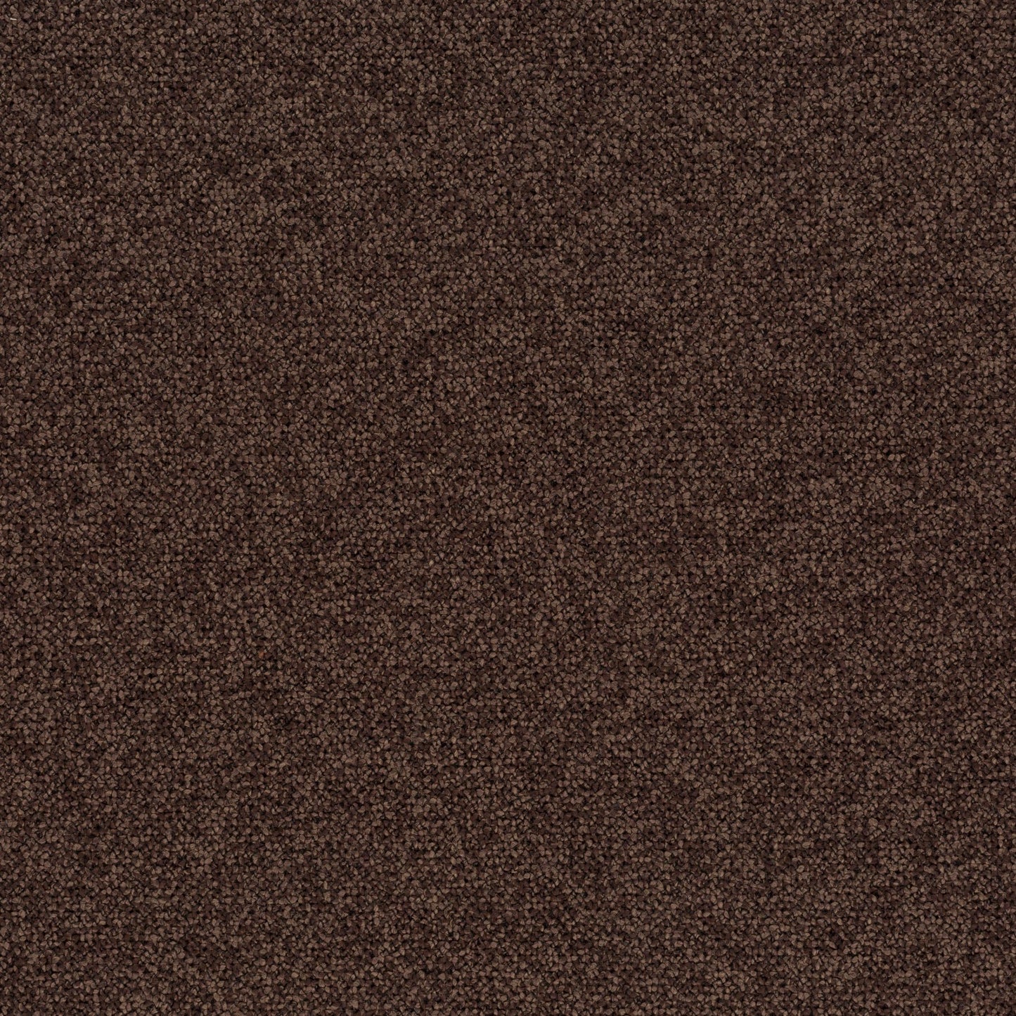 Chivasso Bonsai Reboot Colour 64