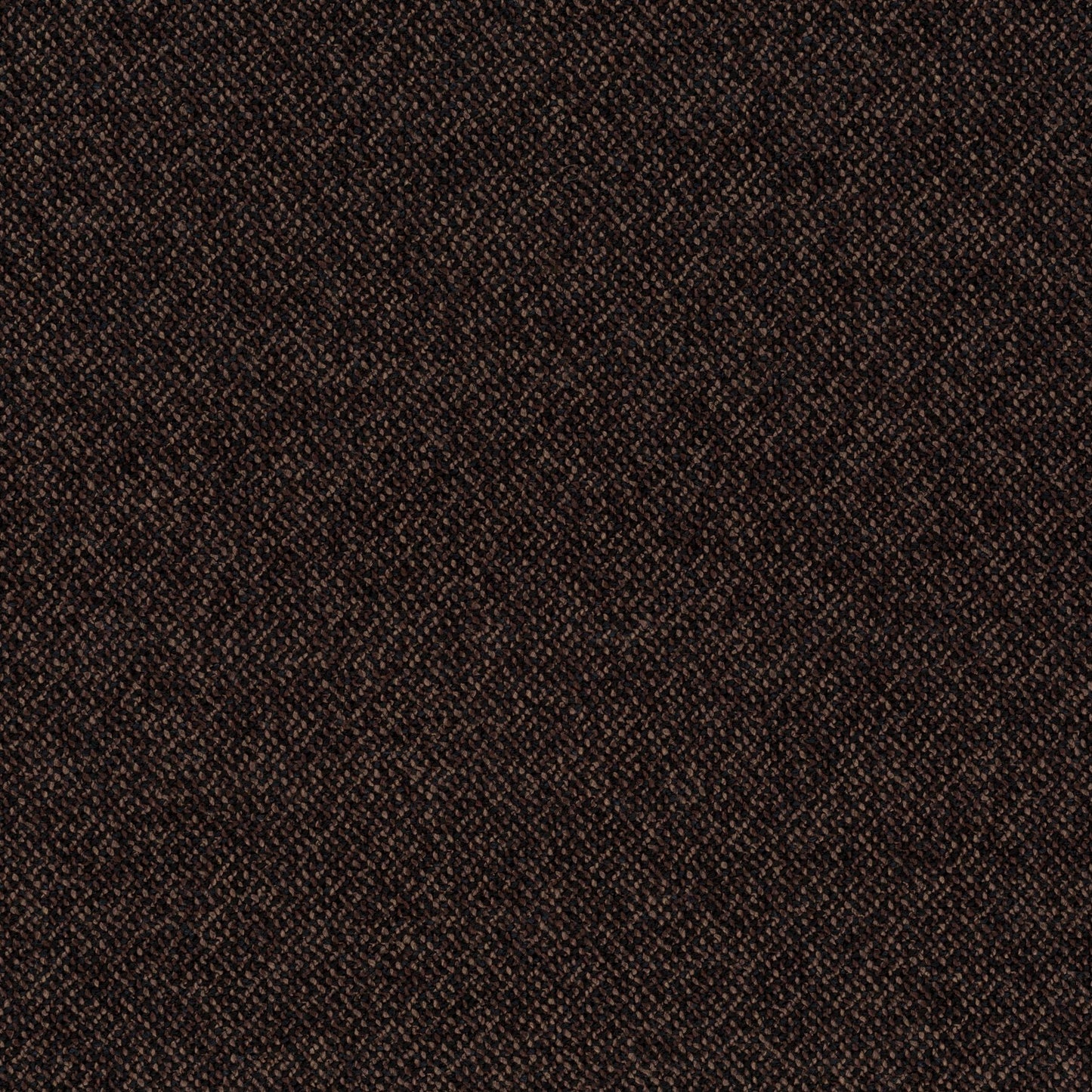 Chivasso Bonsai Reboot Colour 65