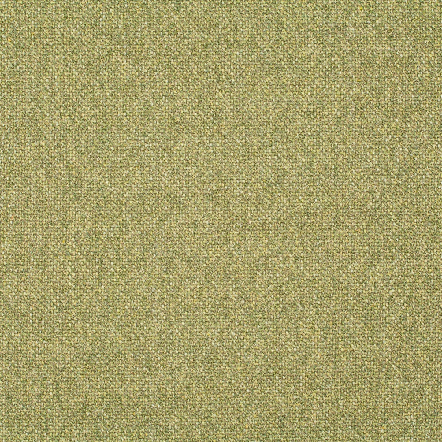 Chivasso Bonsai Reboot Colour 16