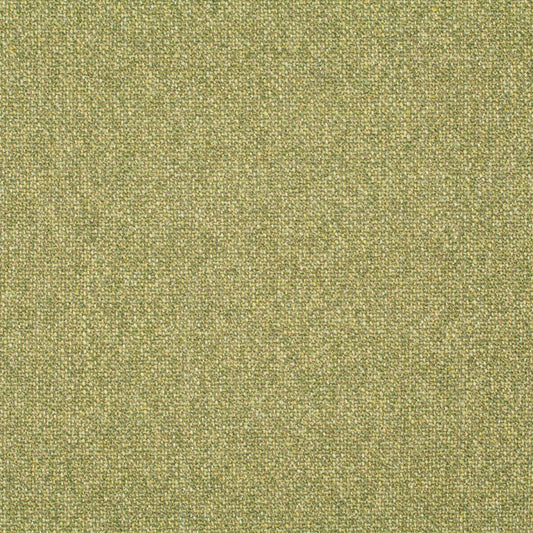 Chivasso Bonsai Reboot Colour 16