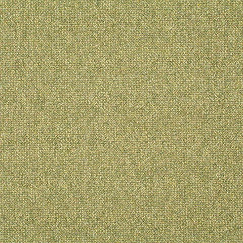 Chivasso Bonsai Reboot Colour 16