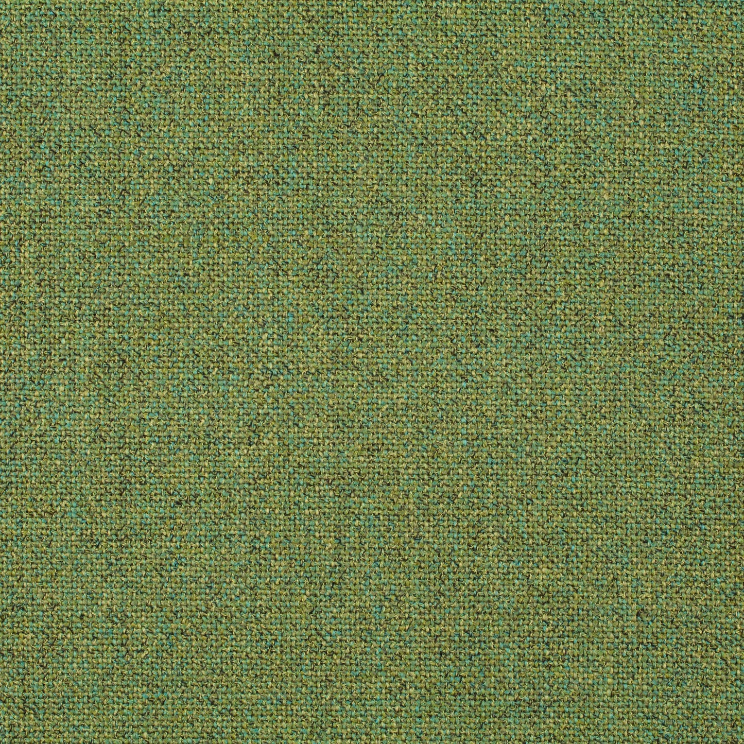 Chivasso Bonsai Reboot Colour 19