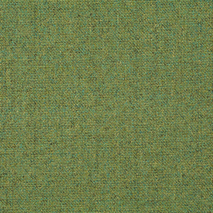 Chivasso Bonsai Reboot Colour 19