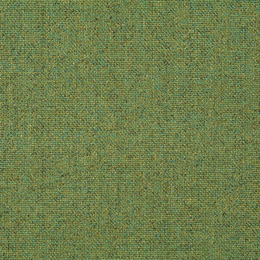 Chivasso Bonsai Reboot Colour 19