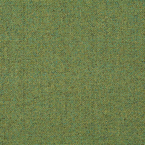 Chivasso Bonsai Reboot Colour 19