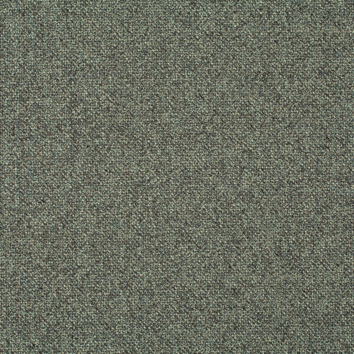 Chivasso Bonsai Reboot Colour 21