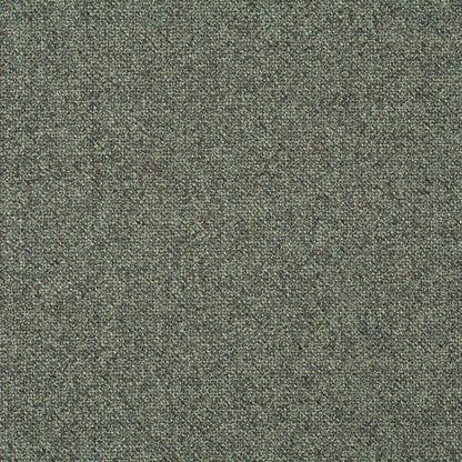 Chivasso Bonsai Reboot Colour 21