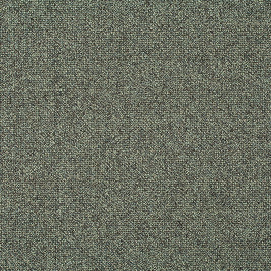 Chivasso Bonsai Reboot Colour 21