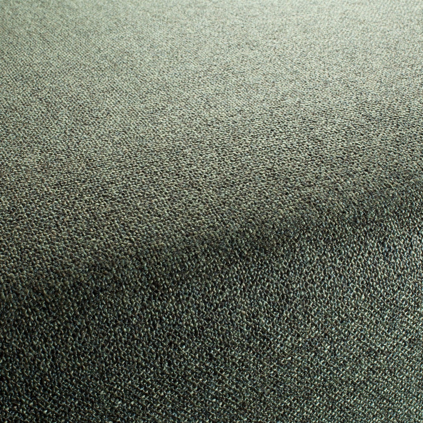 Chivasso Bonsai Reboot Colour 21