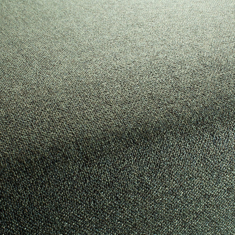 Chivasso Bonsai Reboot Colour 21