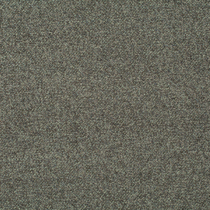 Chivasso Bonsai Reboot Colour 22