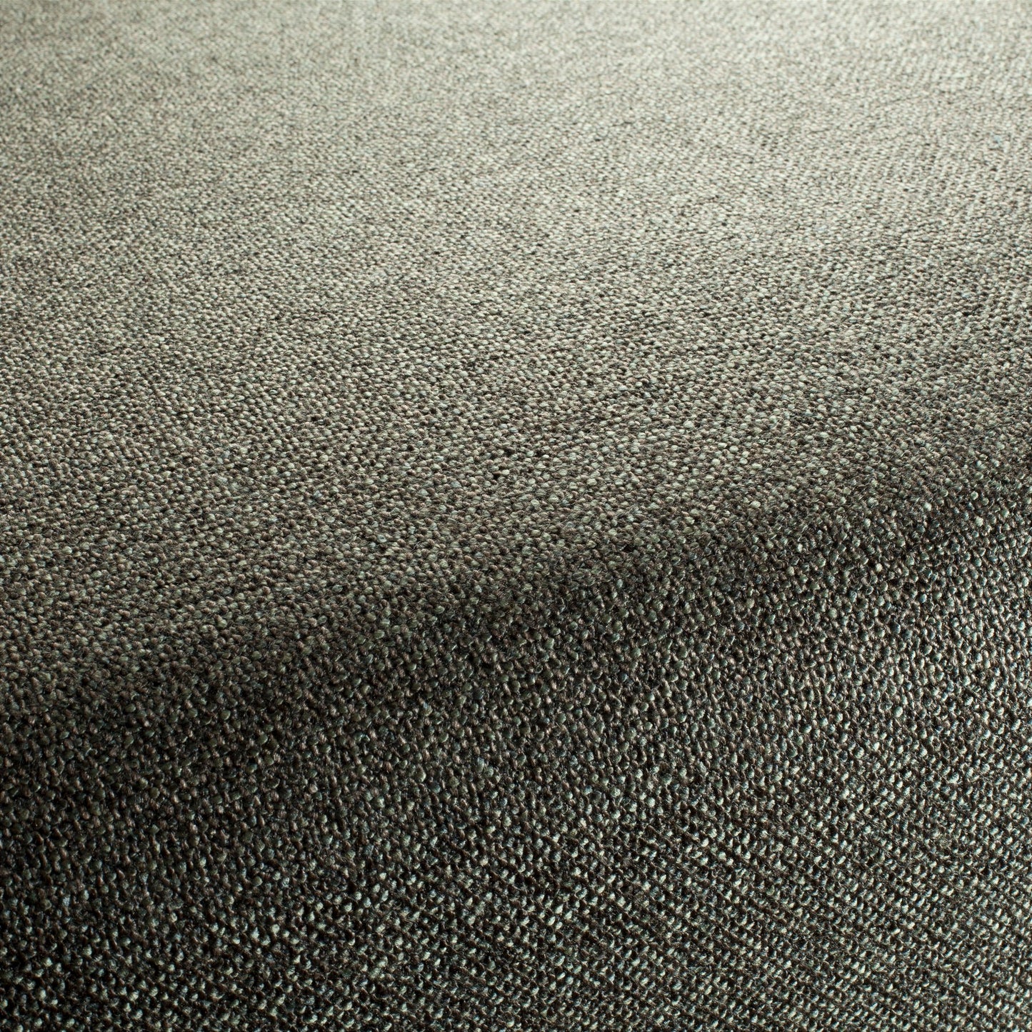 Chivasso Bonsai Reboot Colour 22