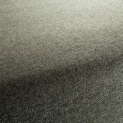 Chivasso Bonsai Reboot Colour 22