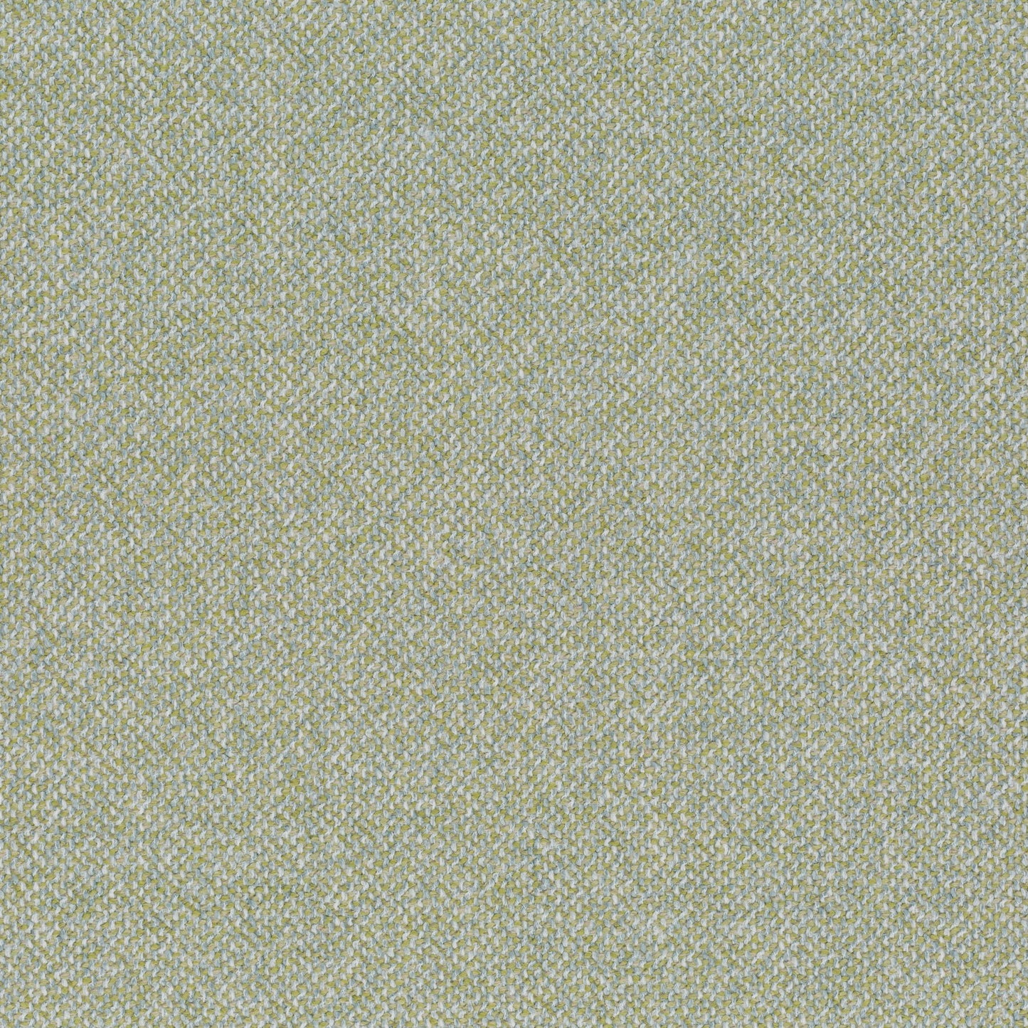 Chivasso Bonsai Reboot Colour 15