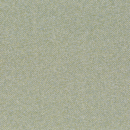 Chivasso Bonsai Reboot Colour 15