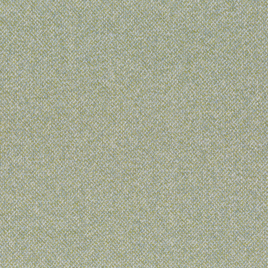 Chivasso Bonsai Reboot Colour 15