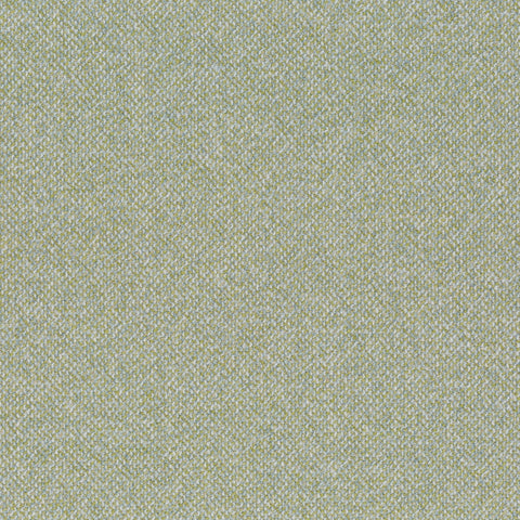 Chivasso Bonsai Reboot Colour 15