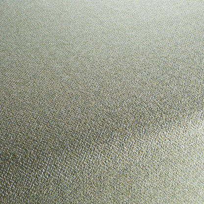 Chivasso Bonsai Reboot Colour 15