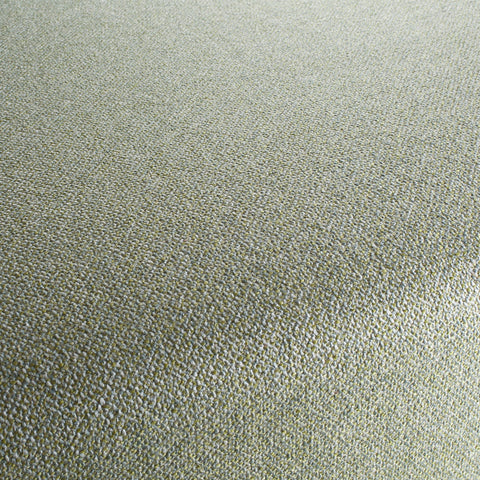 Chivasso Bonsai Reboot Colour 15