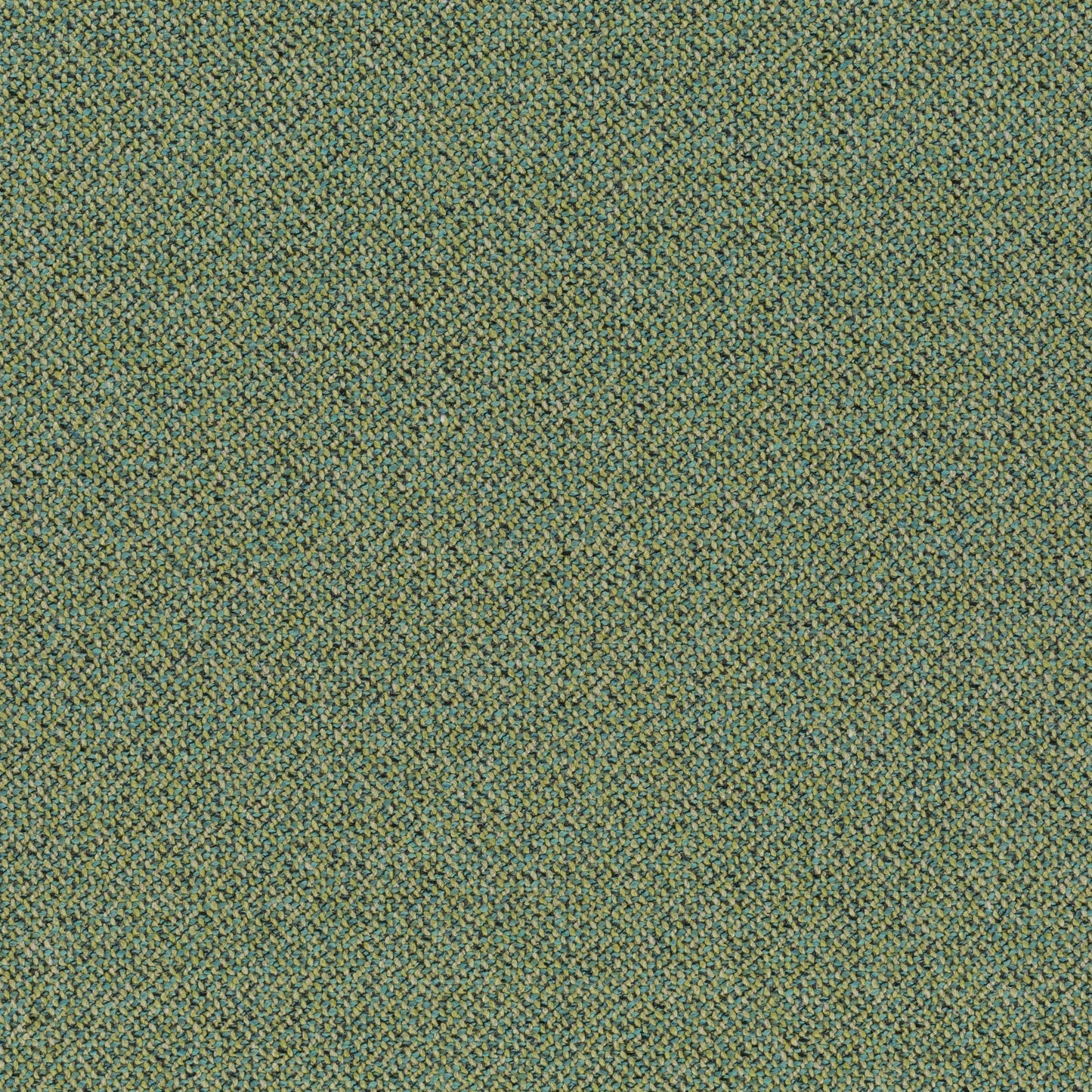 Chivasso Bonsai Reboot Colour 20