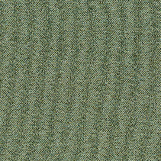 Chivasso Bonsai Reboot Colour 20