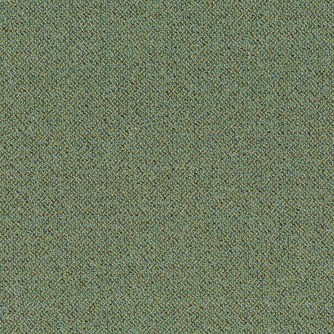 Chivasso Bonsai Reboot Colour 20