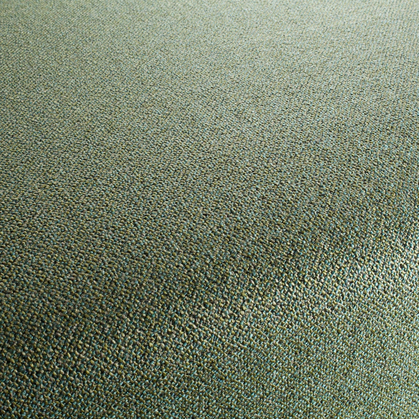 Chivasso Bonsai Reboot Colour 20